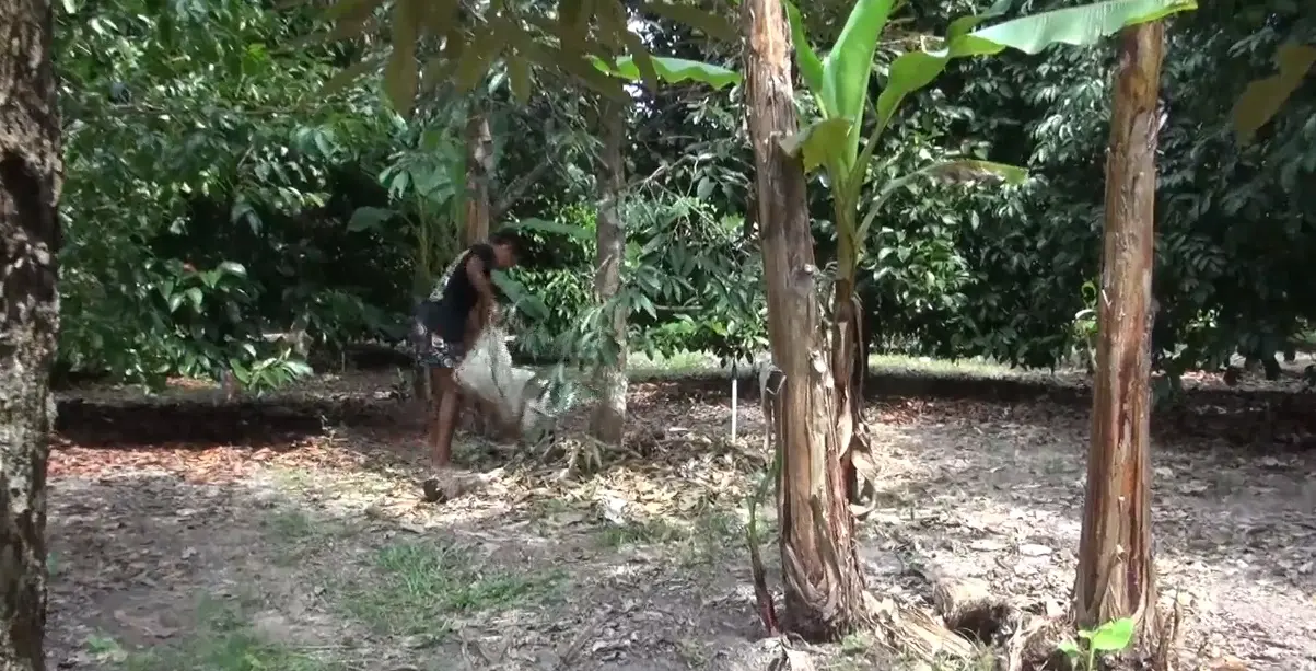 "น้องตี้" เด็กสู้ชีวิต แม้จนก็ไม่ท้อ