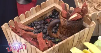 รักษาโรคอ้วน