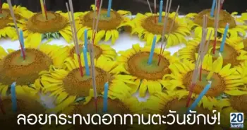ลอยกระทงดอกทานตะวันยักษ์!