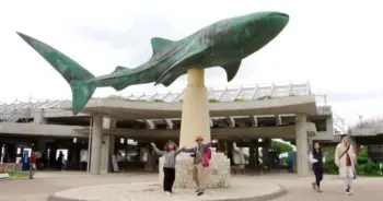 โอกินาว่า