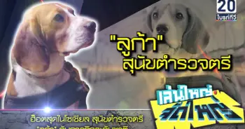 สุนัขตำรวจลูก้า