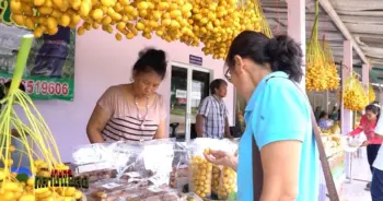 อินทผลัมคุณไข่