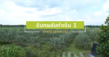 อินทผลัม