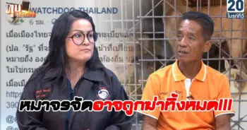 ขึ้นทะเบียนหมาแมว