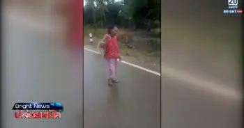 ยายจับงู