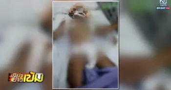 พี่เลี้ยงโหด