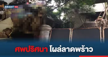 ศพ โครงกระดูก