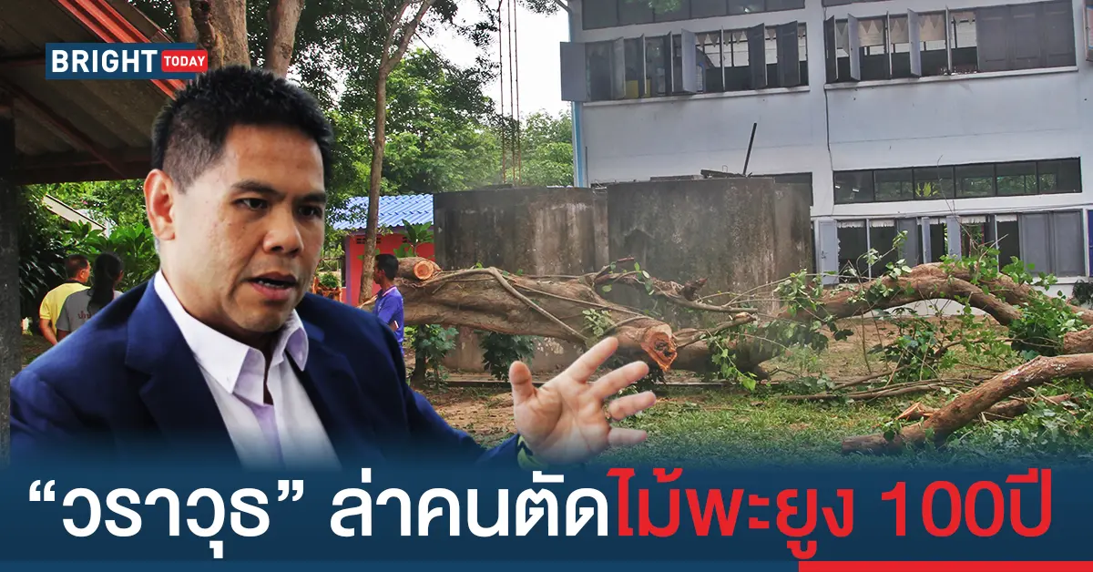 นายวราวุธ ศิลปอาชา