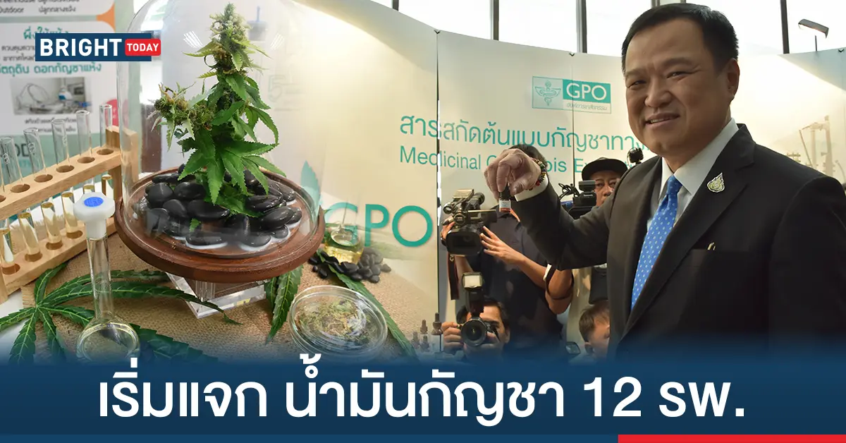 น้ำมันกัญชา