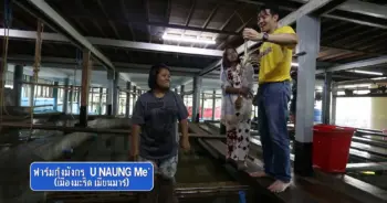 เที่ยวพม่า