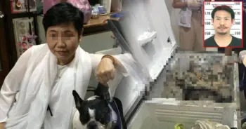 ฆ่ายัดตู้เย็น