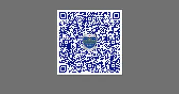 FOREX 3D