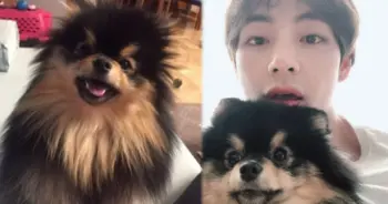 วีBTS