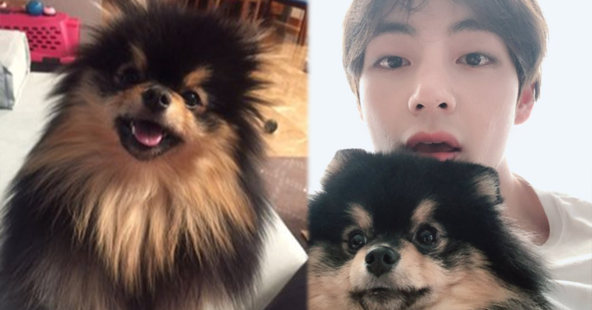 วีBTS