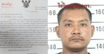 เสือโหย