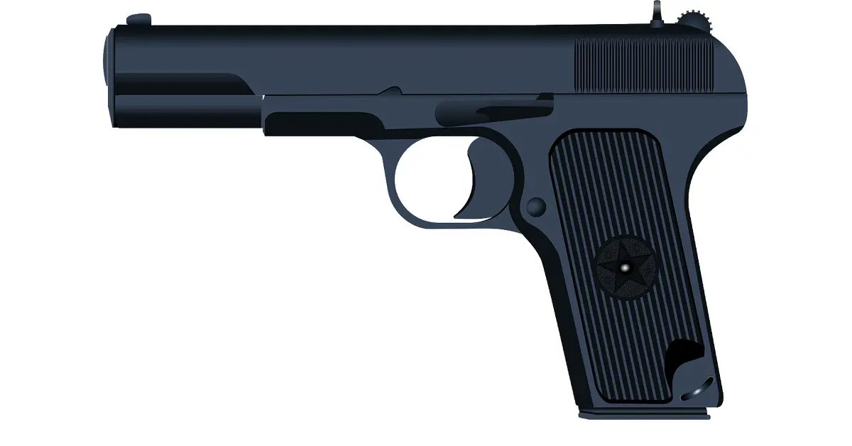 ลืมปืนบนเครื่องบิน