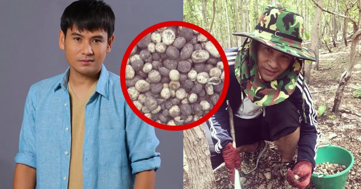 ไผ่ พงศธร