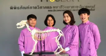 เตี้ยมช.