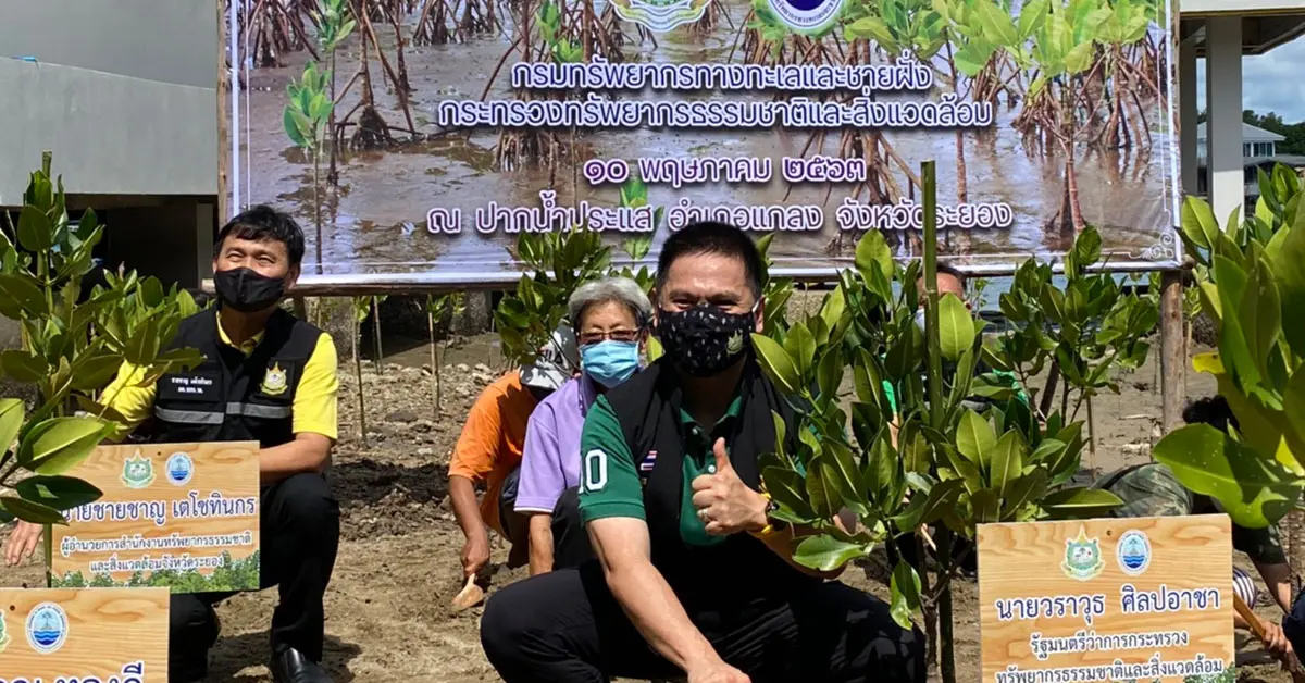 วราวุธ วันป่าชายเลนแห่งชาติ