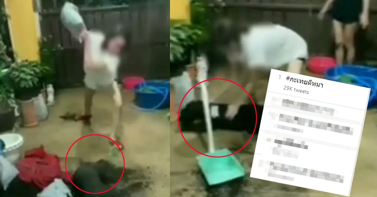 กะเทยตีหมา นมเย็น