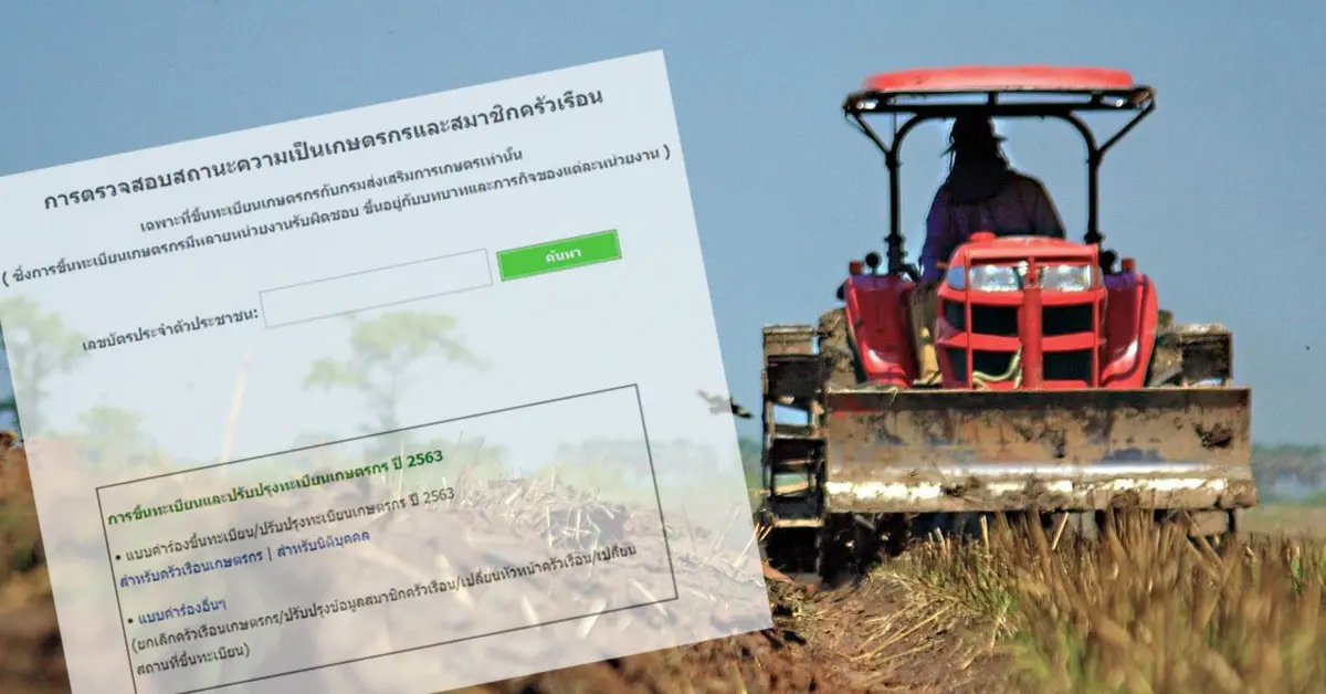 เยียวยาเกษตรกร ฟาร์มเมอร์