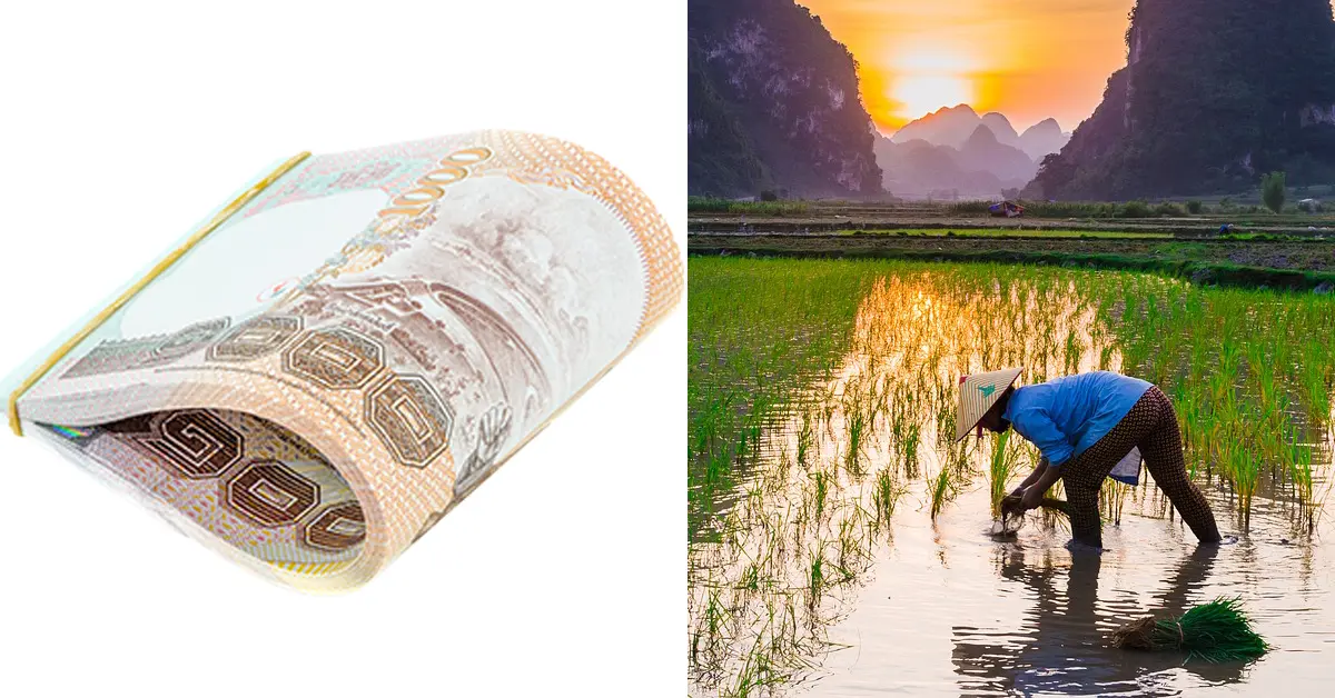 เยียวยาเกษตรกร