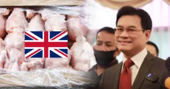 ไก่แช่แข็ง