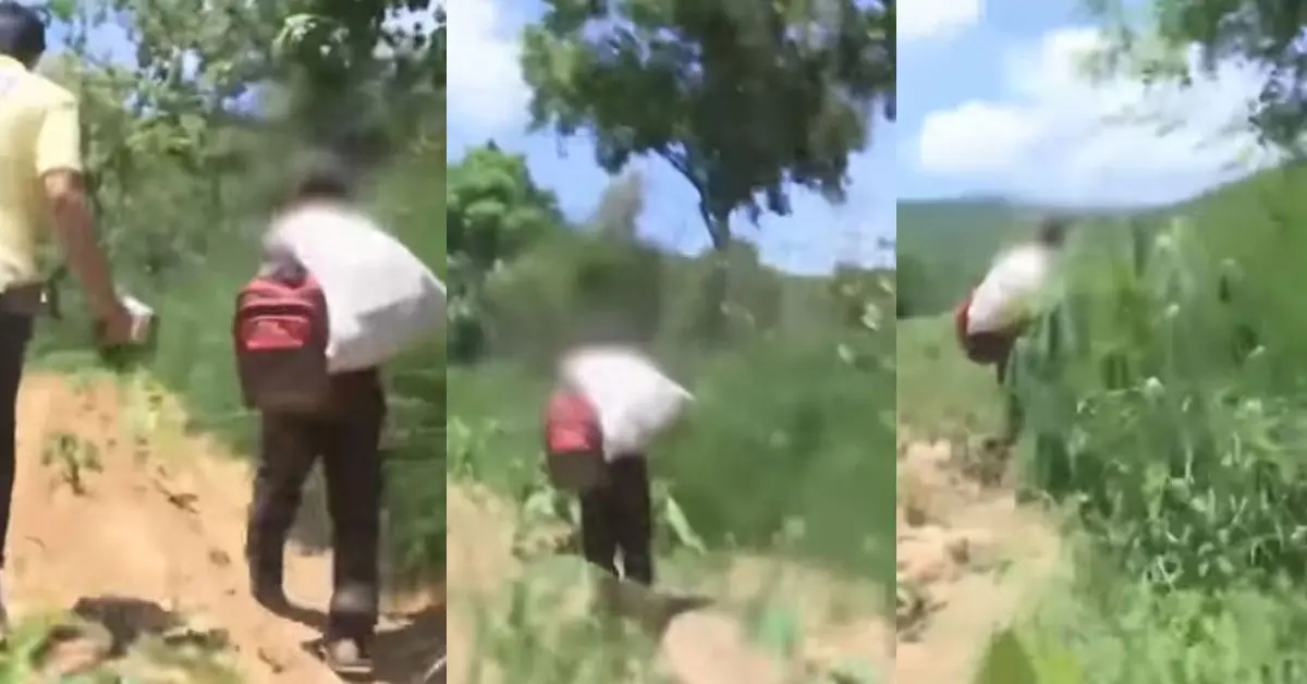 ชายปริศนา น้องชมพู บ้านกกกอด