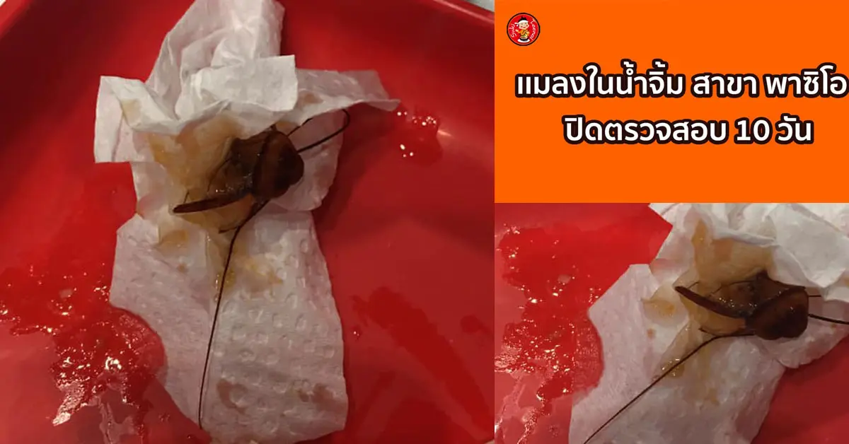 สุกี้ตี๋น้อย แมลงสาบ