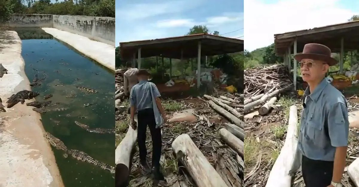 วีระ สมความคิด ทวี ไกรคุปต์