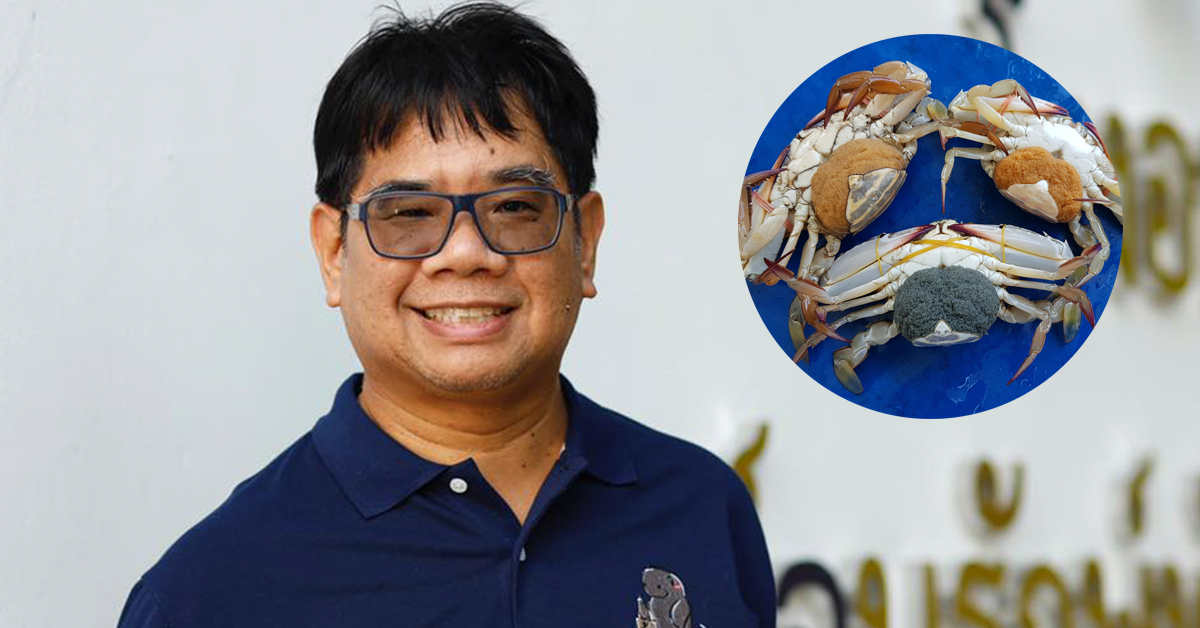 ปูม้าไข่นอกกระดอง