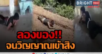 วิญญาณจระเข้เข้าสิง