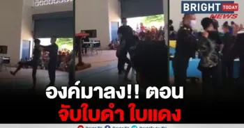จับใบดำใบแดง