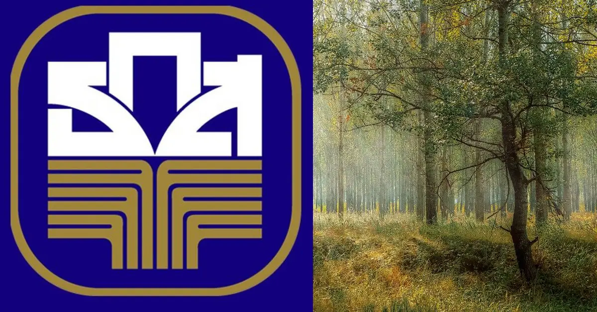 ไม้ยืนต้นค้ำประกัน