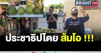 ส้มโอโอ้โหโอชา