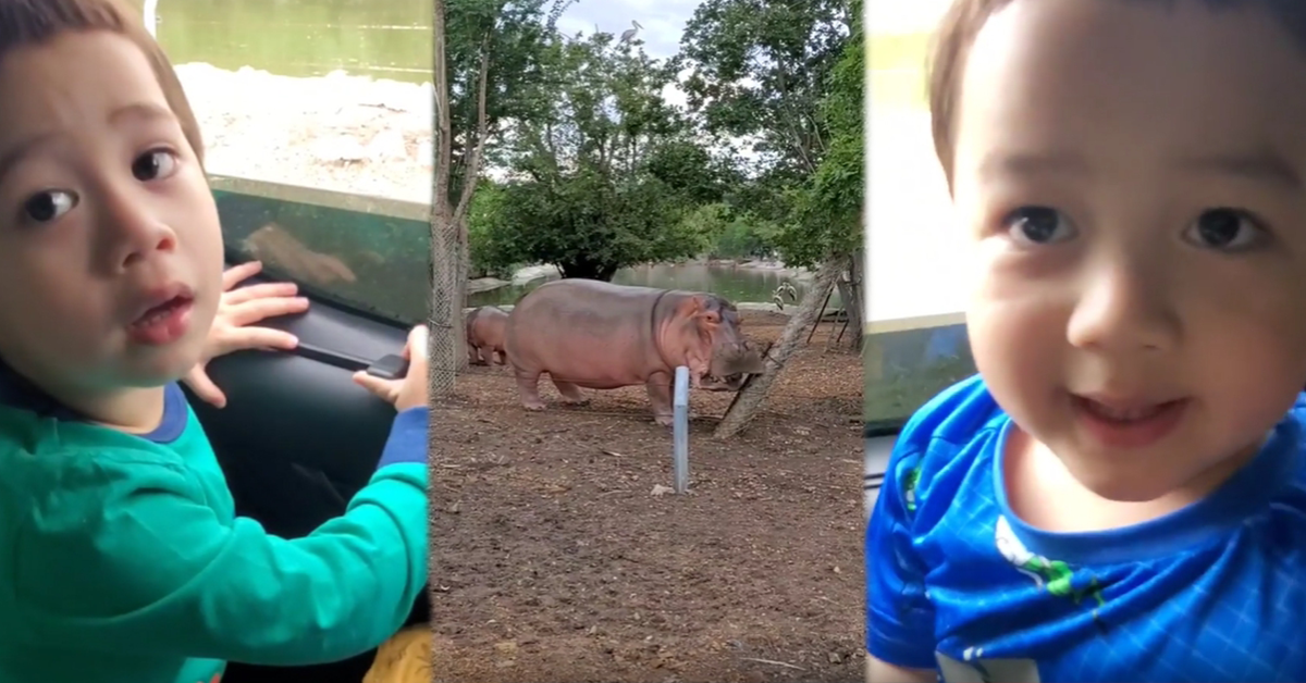 สายฟ้า พายุ