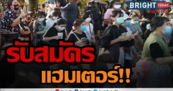 ม็อบแฮมทาโร่