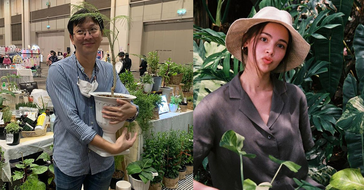 วอก เป็นต่อ