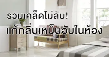 แก้กลิ่นเหม็นอับในห้อง