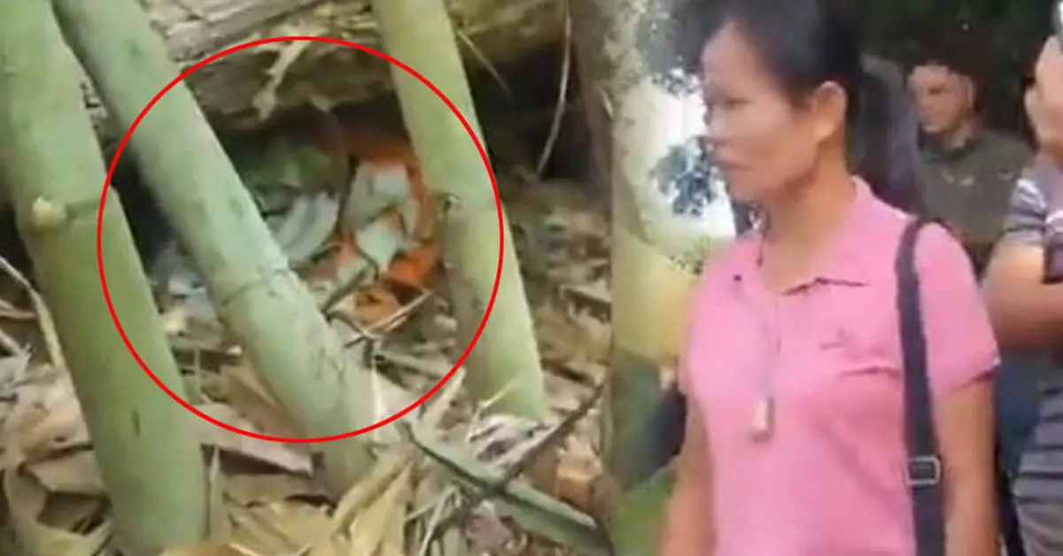 เสื้อส้ม คดีน้องชมพู่