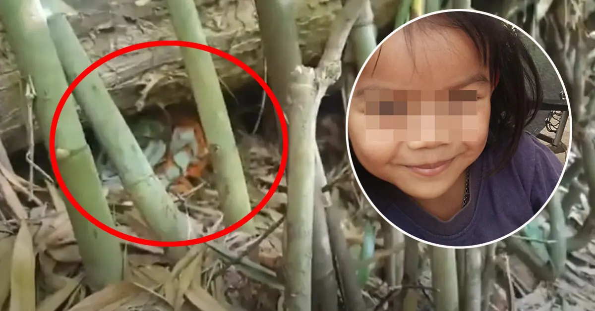 น้องชมพู่