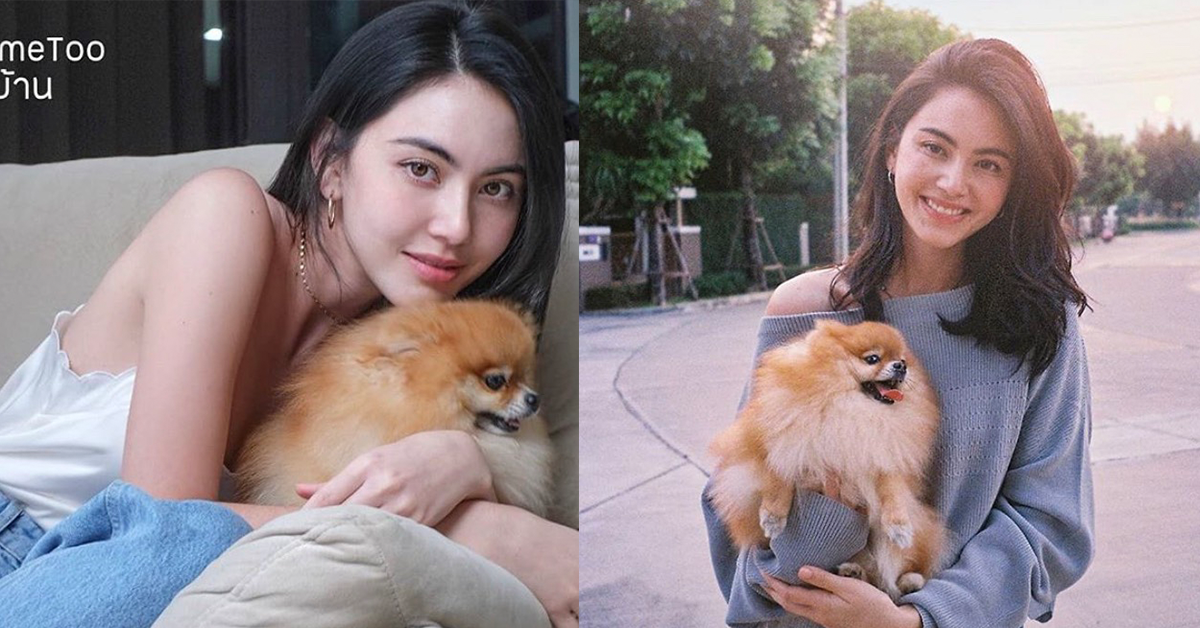 maii-davika-dog