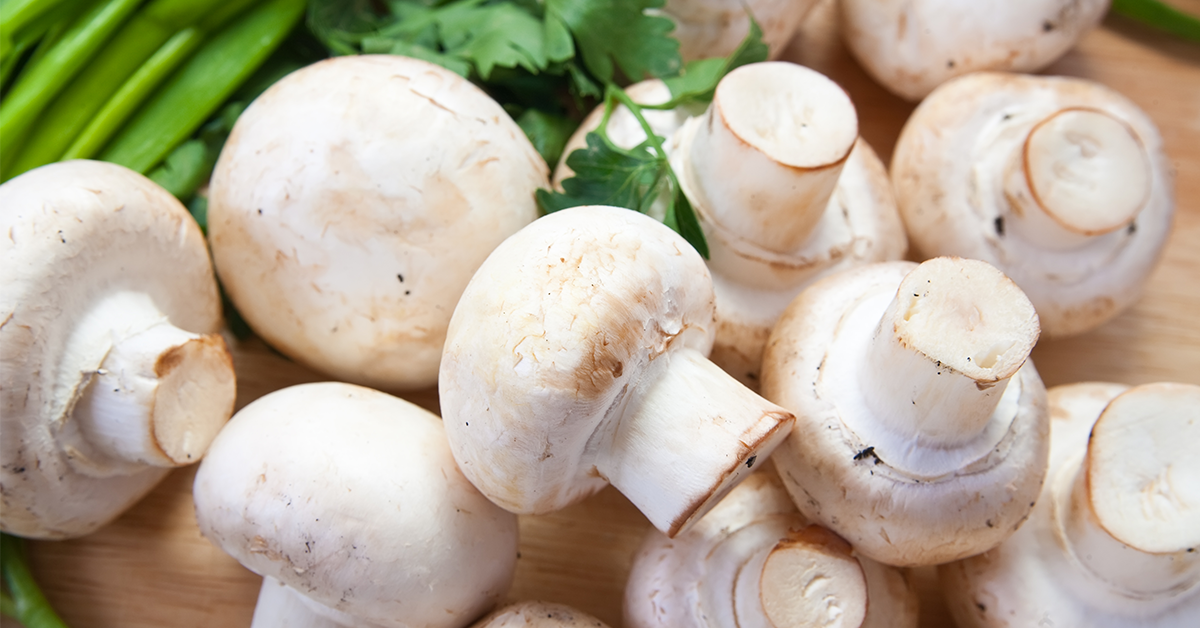 ประโยชน์ของเห็ด