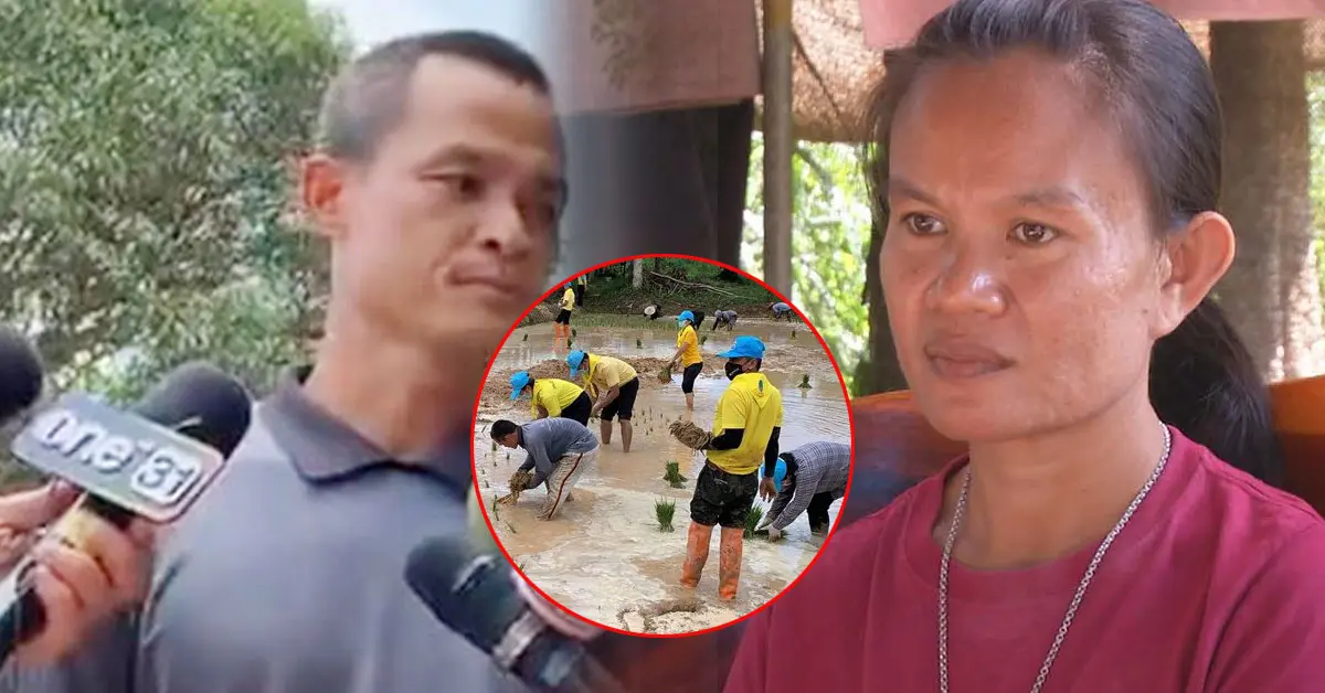 ลุงพล ดำนา บ้านกกกอก น้องชมพู่