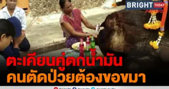 ต้นตะเคียน