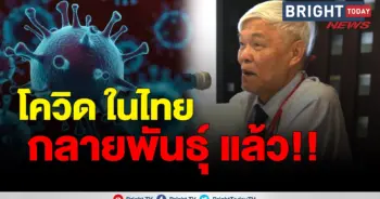 หมอยง