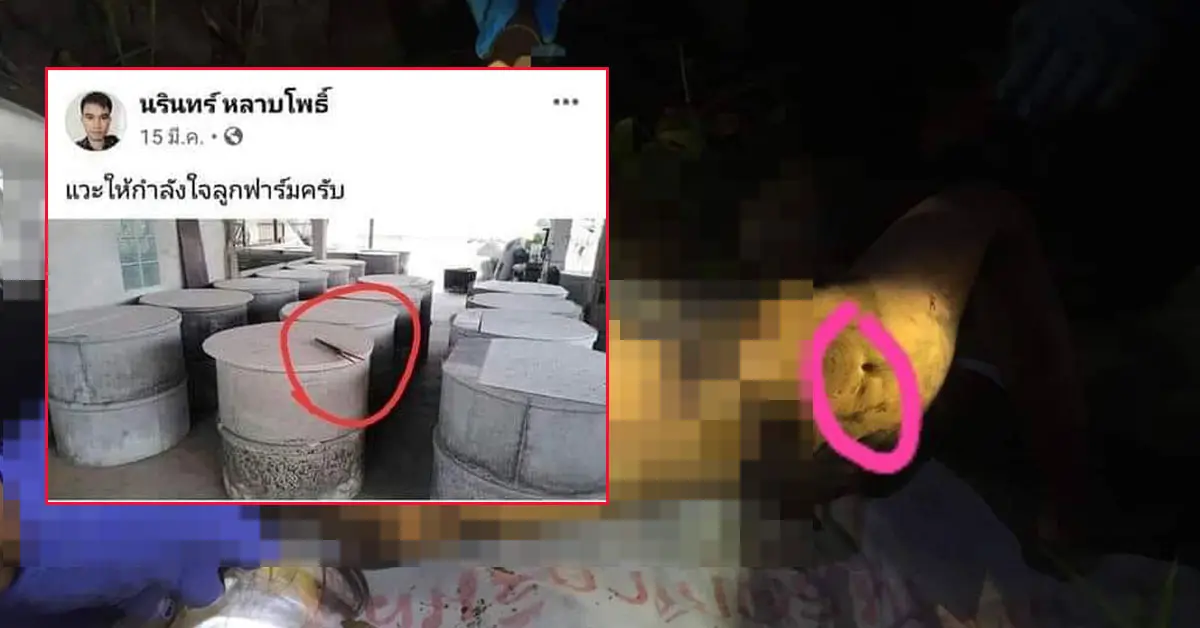 คดีน้องชมพู่ อุปกรณ์จับหนู น้าแต