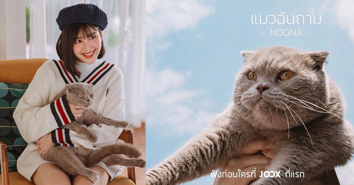 แมวฉันถาม
