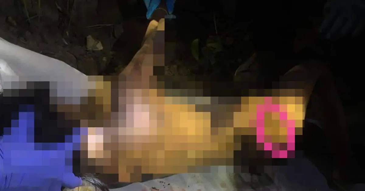 น้องชมพู่ หลงป่า เสียชีวิต