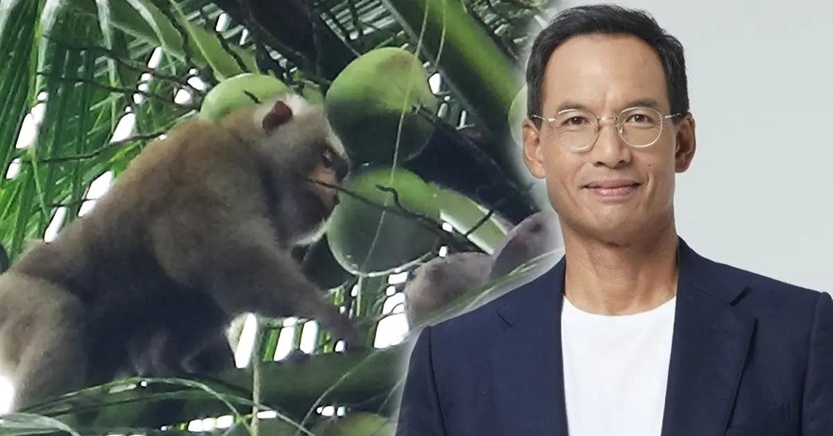 กรณ์ชี้ทางออก1